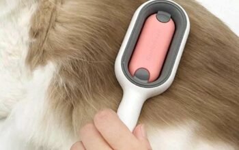 Brosse de toilettage