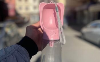 Bol d&rsquo;eau pour chien