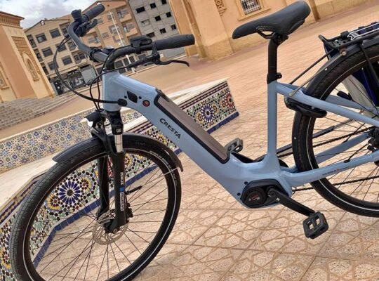 Velo electrique a vendre