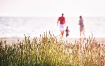 Les activités de plein air pour profiter de l&rsquo;été.